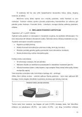 Lietuvos įmonių reklaminė veikla 13 puslapis