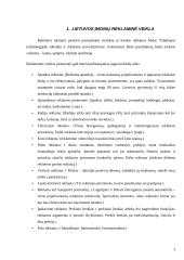 Lietuvos įmonių reklaminė veikla 3 puslapis