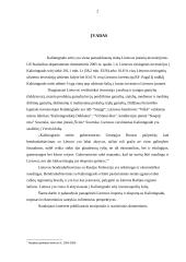 Lietuvos ir Kaliningrado srities ekonominis bendradarbiavimas 2 puslapis