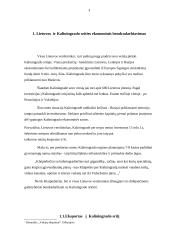 Lietuvos ir Kaliningrado srities ekonominis bendradarbiavimas 3 puslapis