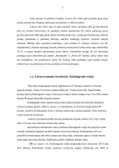 Lietuvos ir Kaliningrado srities ekonominis bendradarbiavimas 5 puslapis