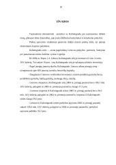 Lietuvos ir Kaliningrado srities ekonominis bendradarbiavimas 10 puslapis