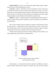 Lietuvos ir Maltos makroekonominių rodiklių analizė ir vertinimas 6 puslapis