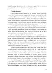 Lietuvos ir Norvegijos ekonominis bendradarbiavimas 18 puslapis