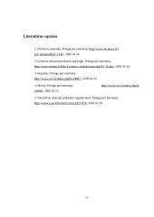 Lietuvos įstojimo į Europos Sąjungą (ES) reikšmė 11 puslapis