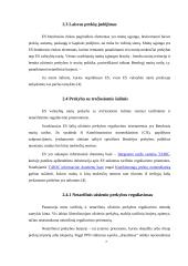 Lietuvos įstojimo į Europos Sąjungą (ES) reikšmė 7 puslapis