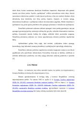 Lietuvos įstojimo į Europos Sąjungą (ES) reikšmė 8 puslapis