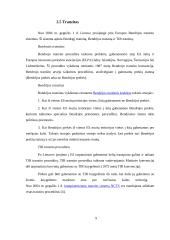 Lietuvos įstojimo į Europos Sąjungą (ES) reikšmė 9 puslapis