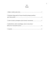 Lietuvos kelias į Europos Sąjungą (ES) 2 puslapis