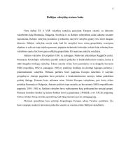 Lietuvos kelias į Europos Sąjungą (ES) 3 puslapis