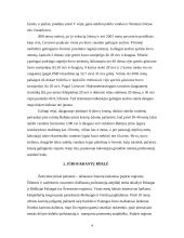 Lietuvos pajūrio žemyninės dalies krantų ir kopų nuardymo problemos 4 puslapis