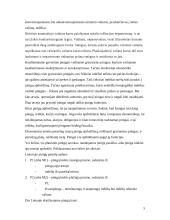 Dabartinė Lietuvos pinigų politika 4 puslapis