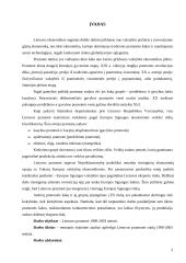 Lietuvos pramonės statistinė analizė 2 puslapis