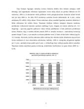 Lietuvos pramonė ir jos raida 5 puslapis