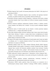 Lietuvos Respublikos (LR) eksportas 2004-2007 metais 16 puslapis