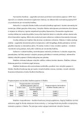 Lietuvos Respublikos biudžetas 11 puslapis