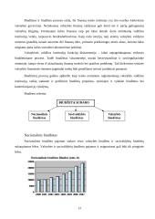 Lietuvos Respublikos biudžetas 13 puslapis