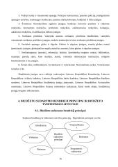 Lietuvos Respublikos biudžetas 16 puslapis