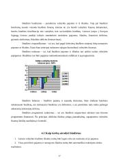 Lietuvos Respublikos biudžetas 17 puslapis