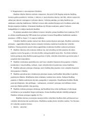 Lietuvos Respublikos biudžetas 4 puslapis