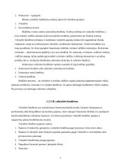 Lietuvos Respublikos biudžetas 5 puslapis