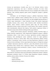 Lietuvos Respublikos civilinės saugos ir gelbėjimo sistema 11 puslapis