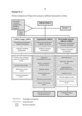 Lietuvos Respublikos civilinės saugos ir gelbėjimo sistema 12 puslapis