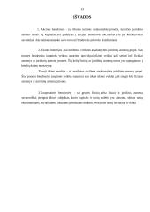 Lietuvos Respublikos įmonių rūšys 13 puslapis