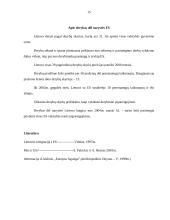 Lietuvos Respublikos įsipareigojimai tarptautinėms organizacijoms ir užsienio valstybėms 15 puslapis