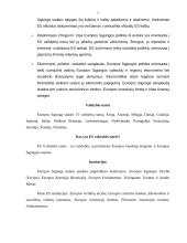 Lietuvos Respublikos įsipareigojimai tarptautinėms organizacijoms ir užsienio valstybėms 7 puslapis