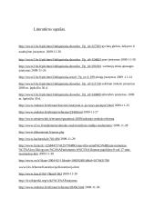 Lietuvos Respublikos įstatymai darantys įtaką mano gyvenimui 11 puslapis