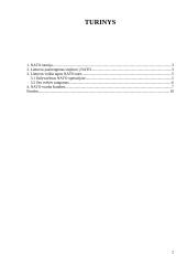 Lietuvos respublikos įstojimo į NATO reikšmė 2 puslapis