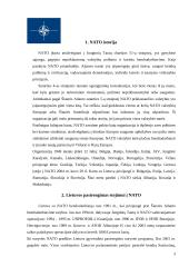 Lietuvos respublikos įstojimo į NATO reikšmė 3 puslapis
