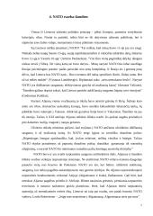 Lietuvos respublikos įstojimo į NATO reikšmė 7 puslapis