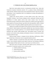 Lietuvos Respublikos Seimas kaip tautos atstovas 12 puslapis