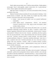 Lietuvos Respublikos Seimas kaip tautos atstovas 13 puslapis