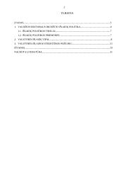 Lietuvos Respublikos valstybės išlaidų ekonomika 2 puslapis