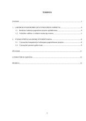 Lietuvos respublikos vyriausybės kompetencijos aspektai nuo 1991 metų 2 puslapis