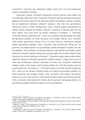 Lietuvos respublikos vyriausybės kompetencijos aspektai nuo 1991 metų 10 puslapis