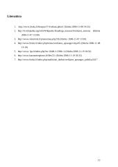 Lietuvos sveikatos apsaugos problemos 13 puslapis