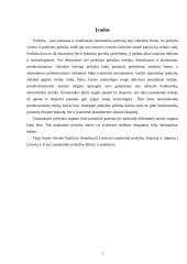 Lietuvos tarptautinė prekyba su užsieniu 3 puslapis