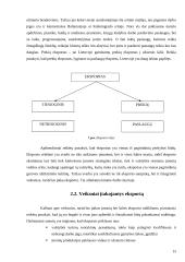 Lietuvos tekstilės rinka: AB "Utenos trikotažas" 15 puslapis