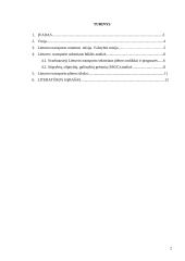 Lietuvos transporto plėtra 2 puslapis