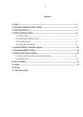 Lietuvos ūkio raidos perspektyvos 2 puslapis