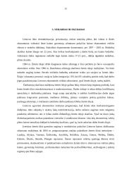 Lietuvos ūkio raidos perspektyvos 11 puslapis