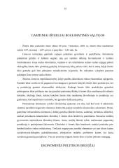 Lietuvos ūkio raidos perspektyvos 15 puslapis
