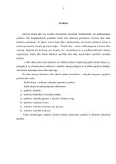 Lietuvos ūkio raidos perspektyvos 3 puslapis