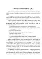 Lietuvos ūkio raidos perspektyvos 4 puslapis