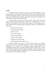 Lietuvos valiutos istorija 2 puslapis