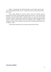 Lietuvos valiutos istorija 17 puslapis